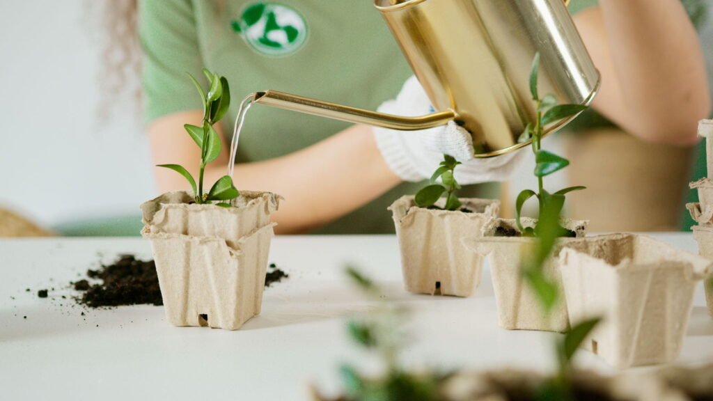 sustainabllity blog img